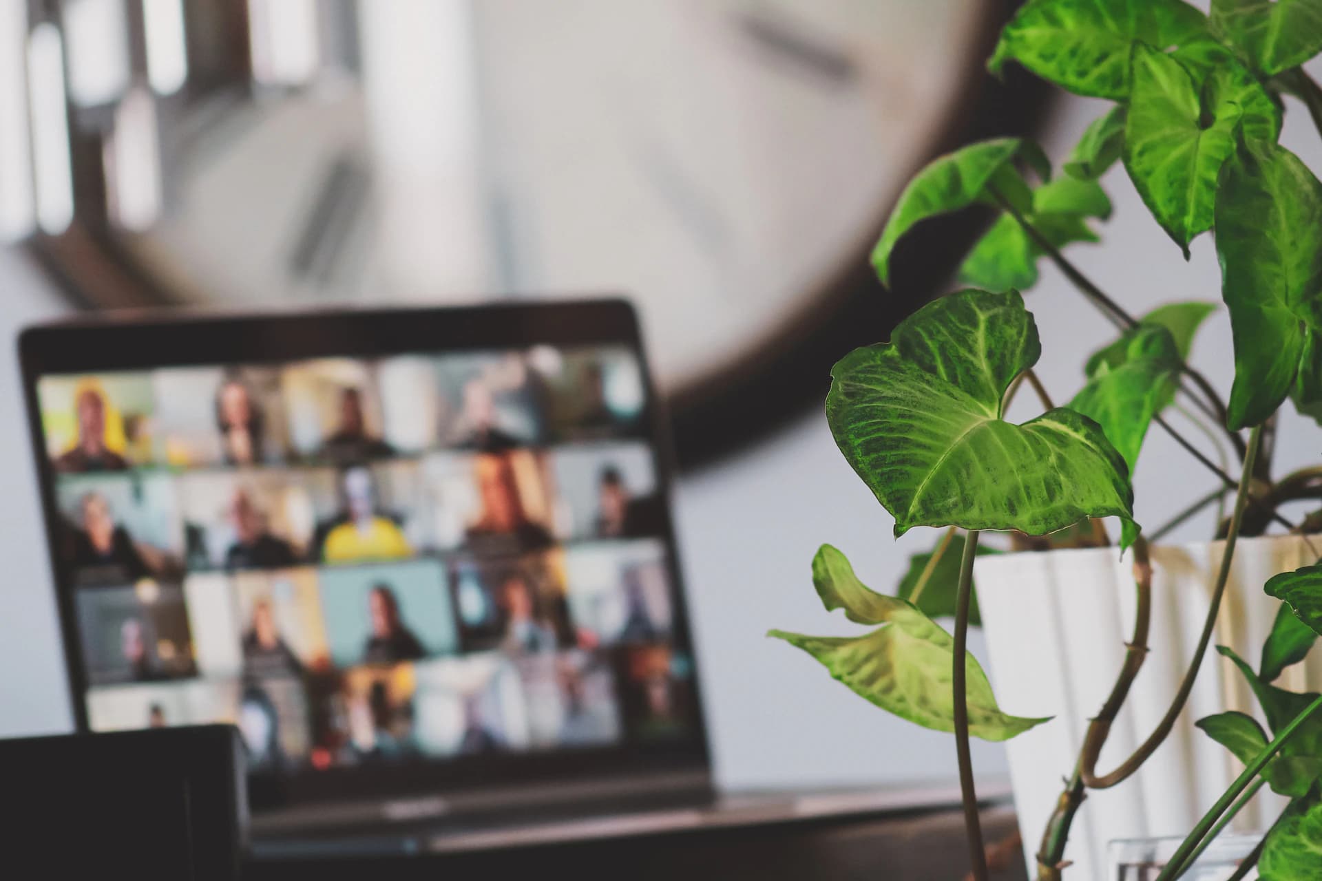 Online group language class on laptop