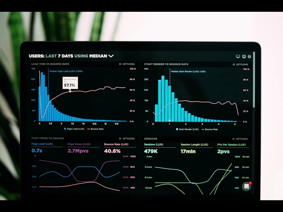 Data Analyst