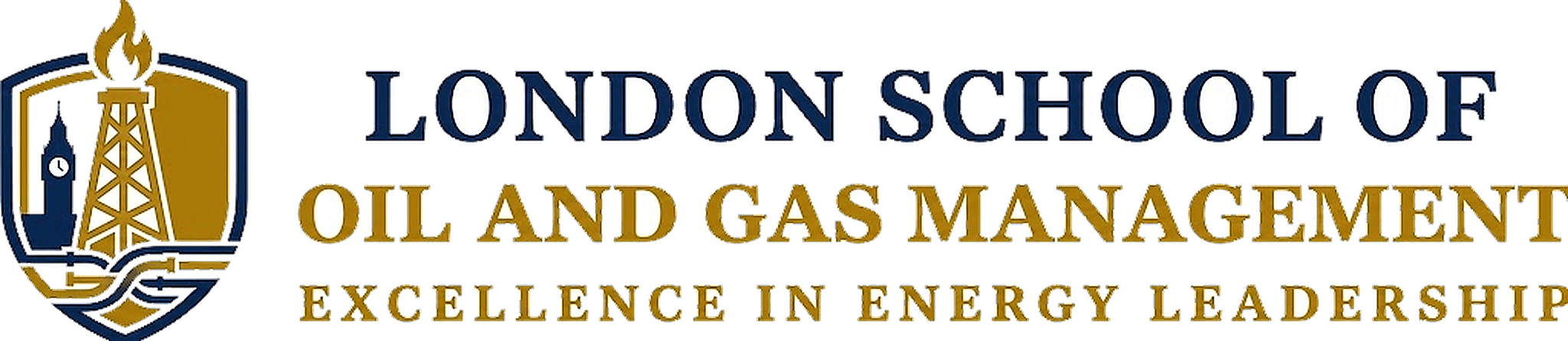 London School of Oil & Gas Management logo