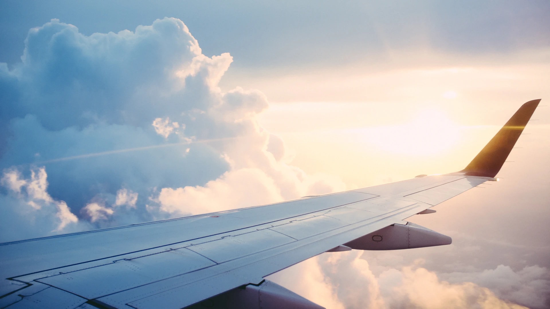 London School of Aviation & Airport Management