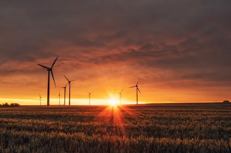Energy, Environment & Sustainability