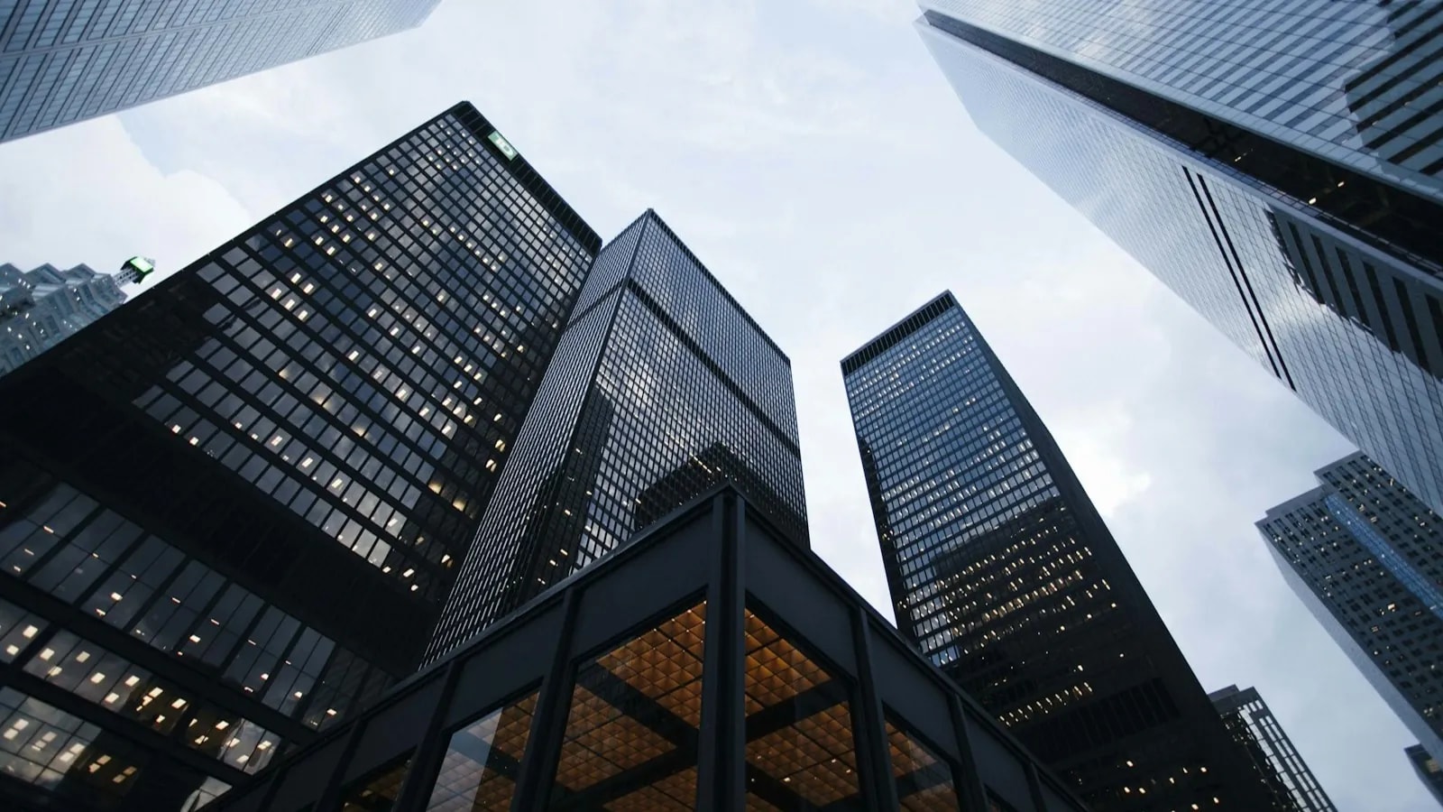 London School of International Business and Management
