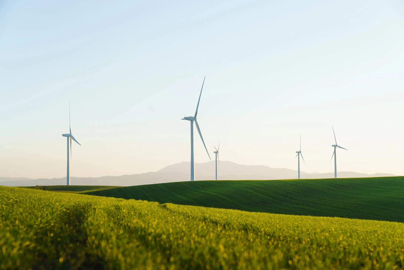 Certificate in Energy Management