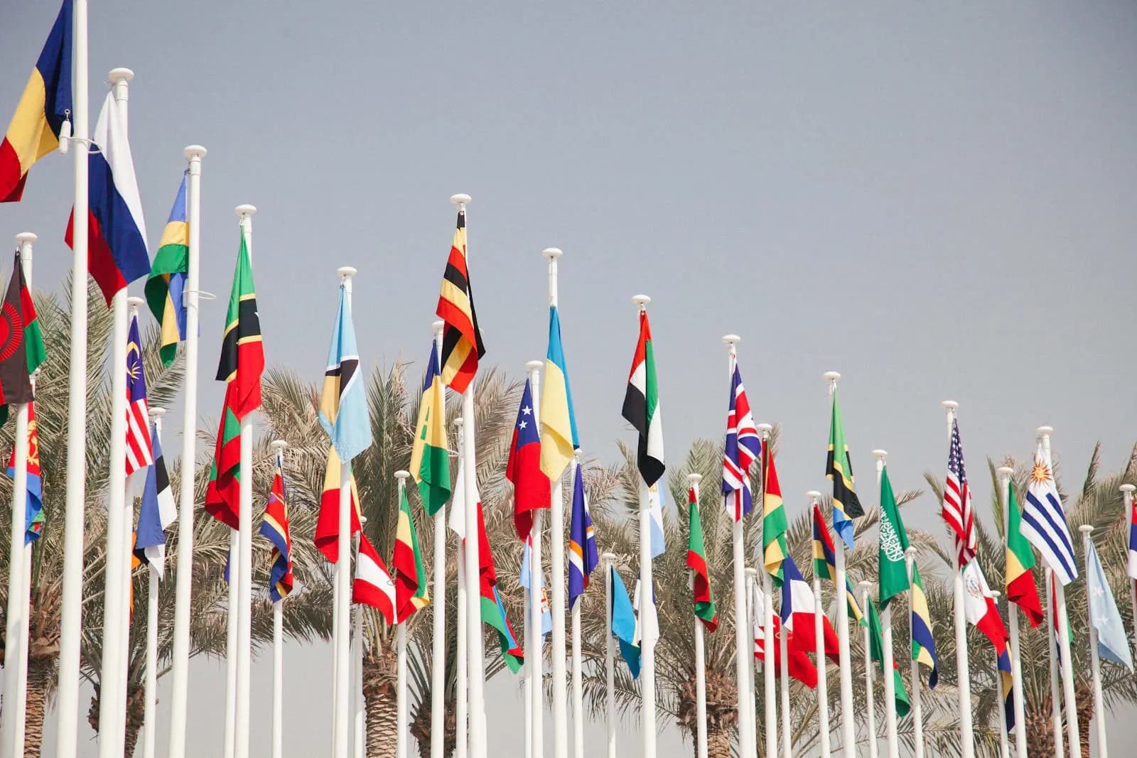 Master of French and Professional Communication - Master at London Online University