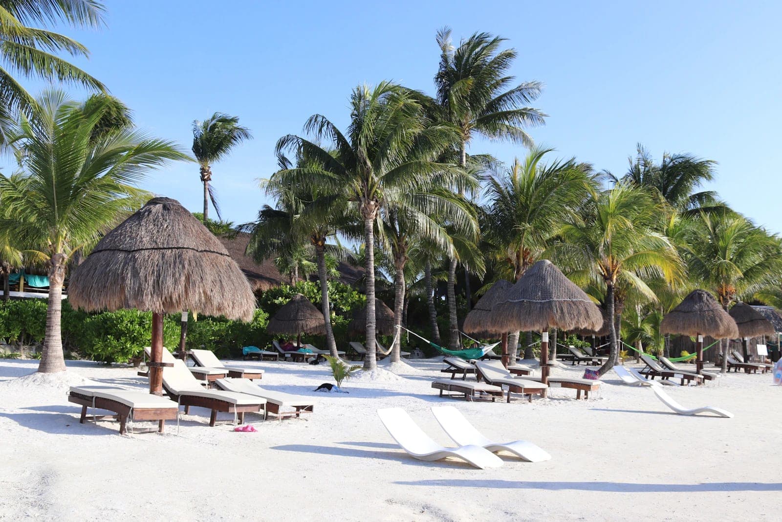 Certificate in Guest Experience Introduction - Certificate at London School of Hotel and Resort Management