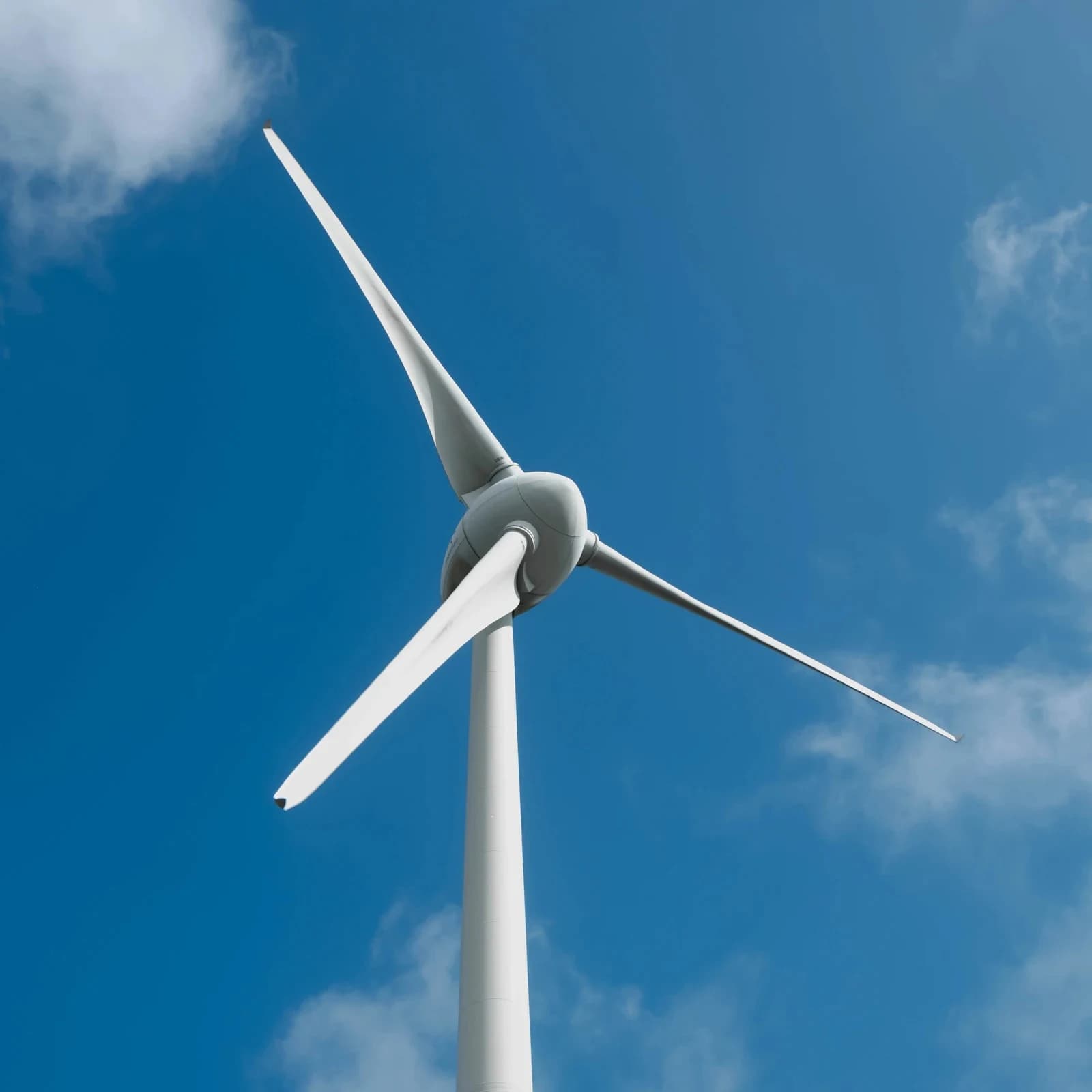 Bachelor of Carbon and Sustainability Studies
