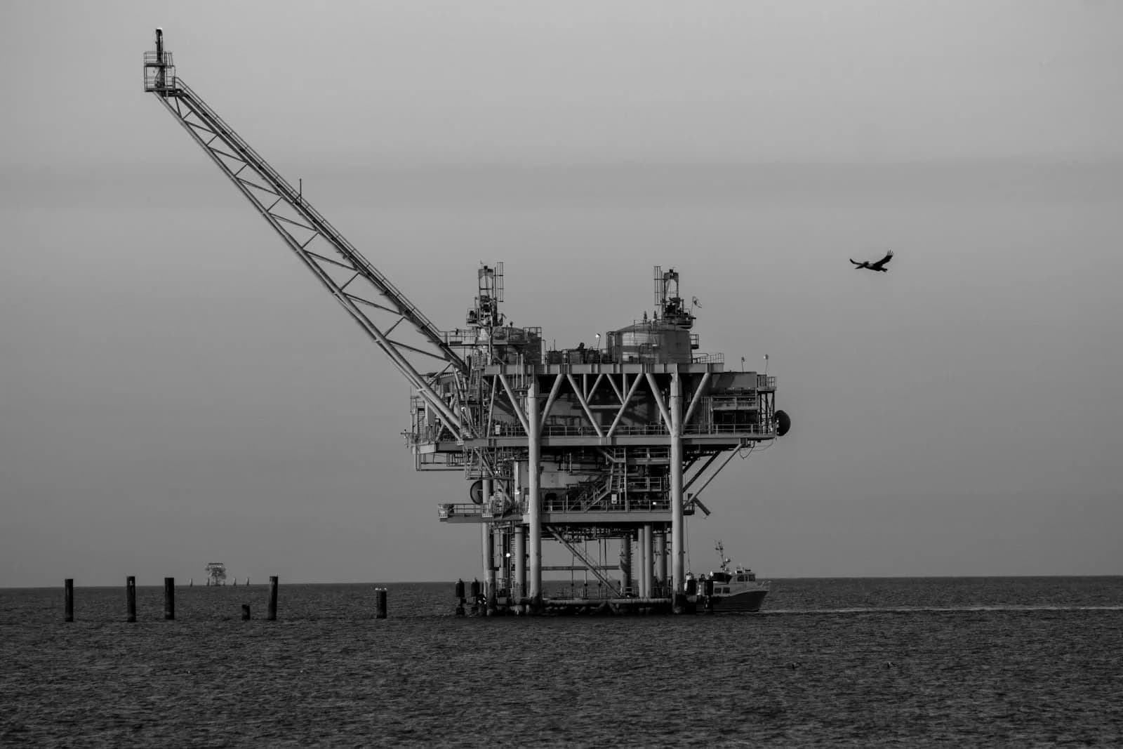 Bachelor of Integrated Petroleum Engineering