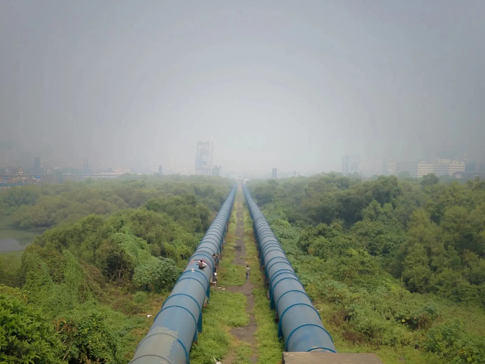Bachelor of Oil and Gas Executive Studies