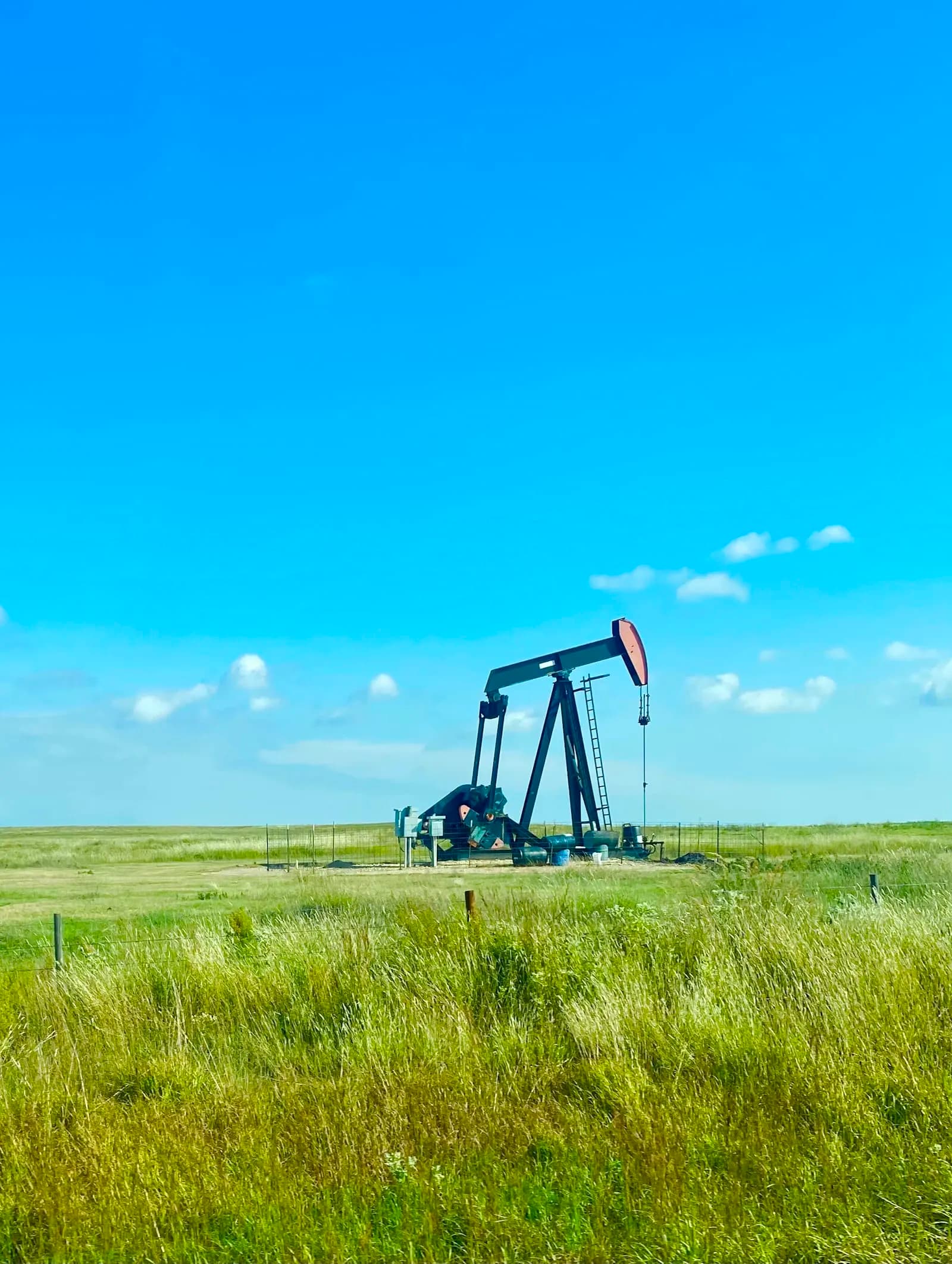 Certificate in Petroleum Management
