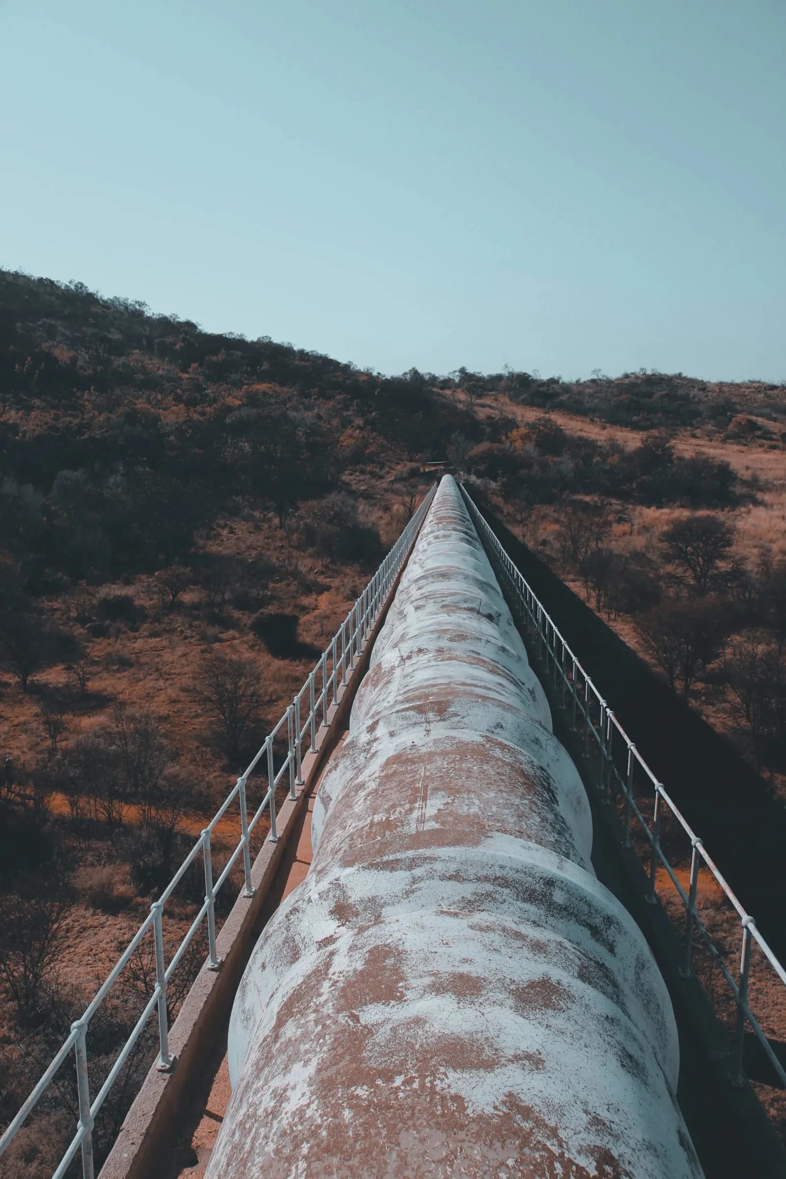 MBA Petroleum and Energy Management - Master at London School of Petroleum and Energy