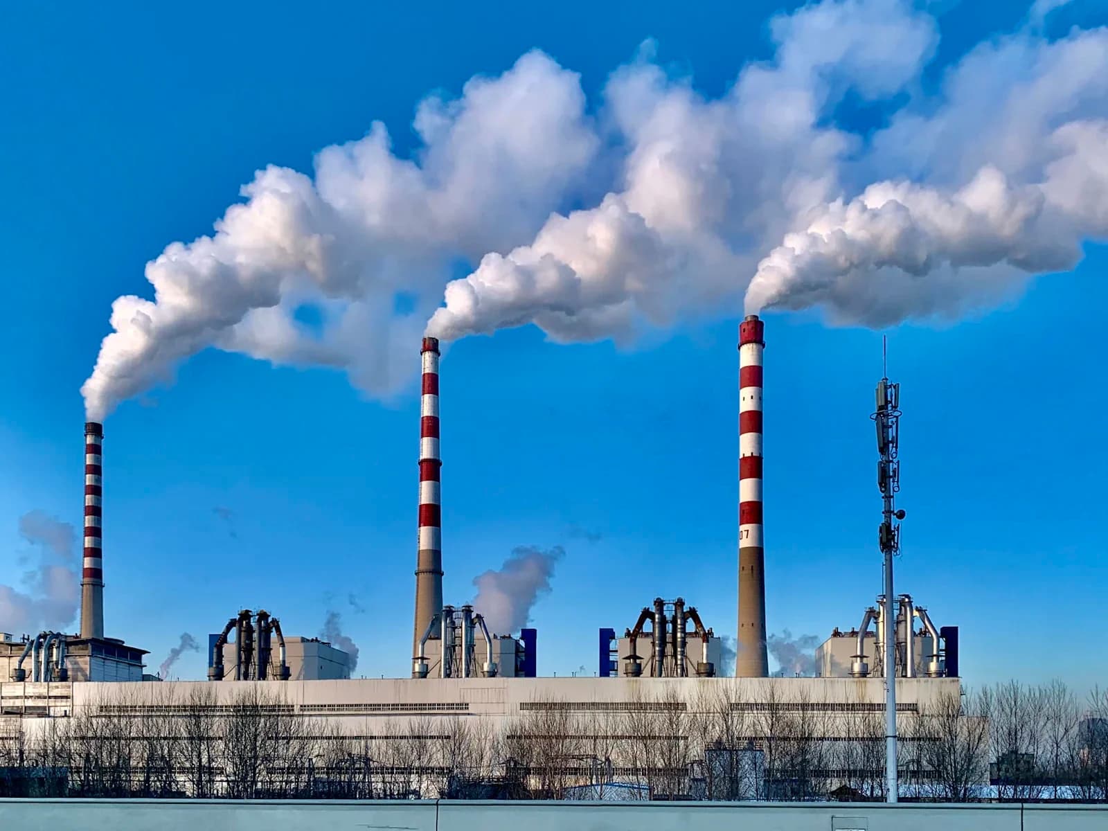 MSc Carbon Management and Net-Zero Strategy