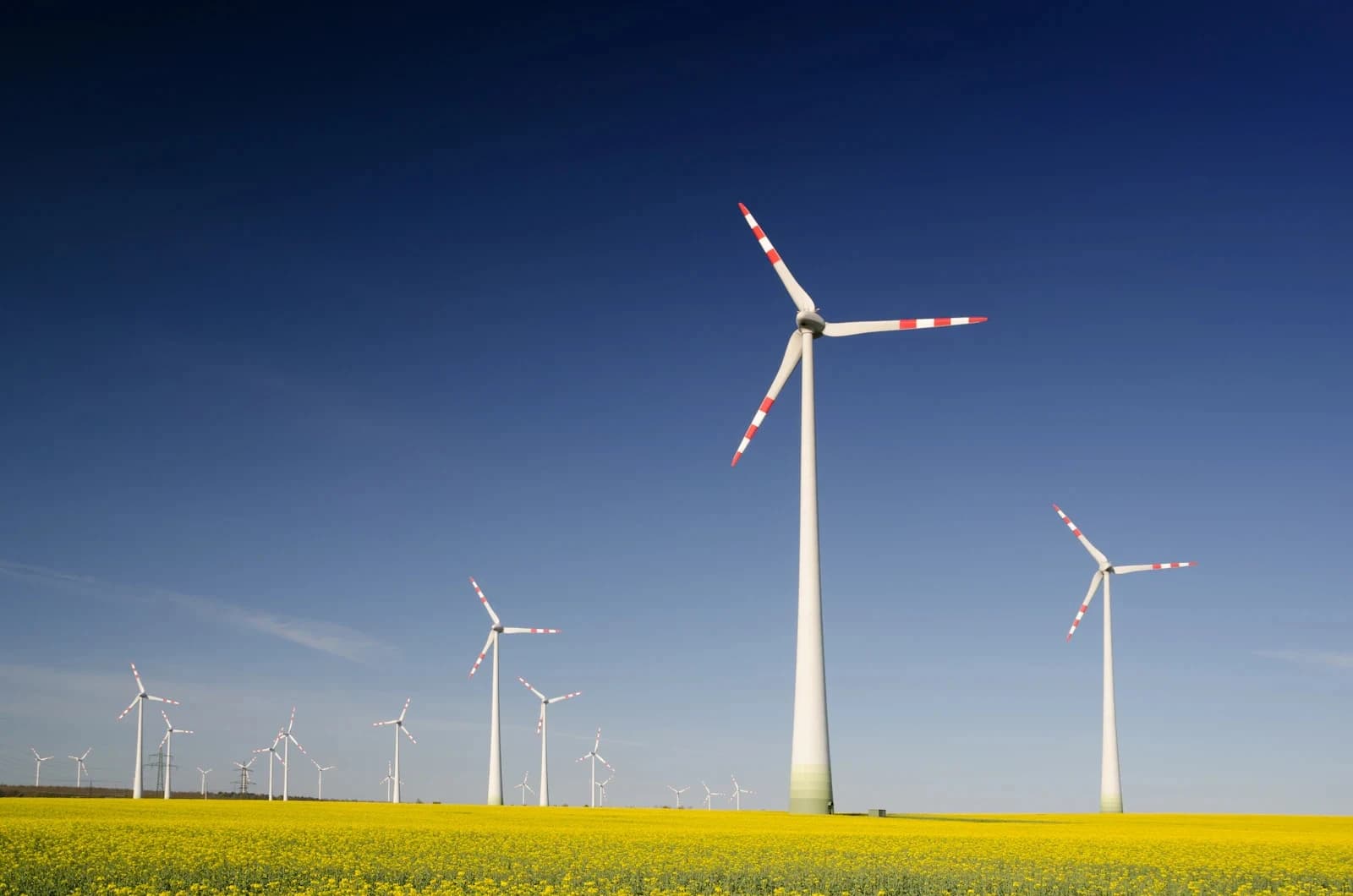 MSc in International Energy Business