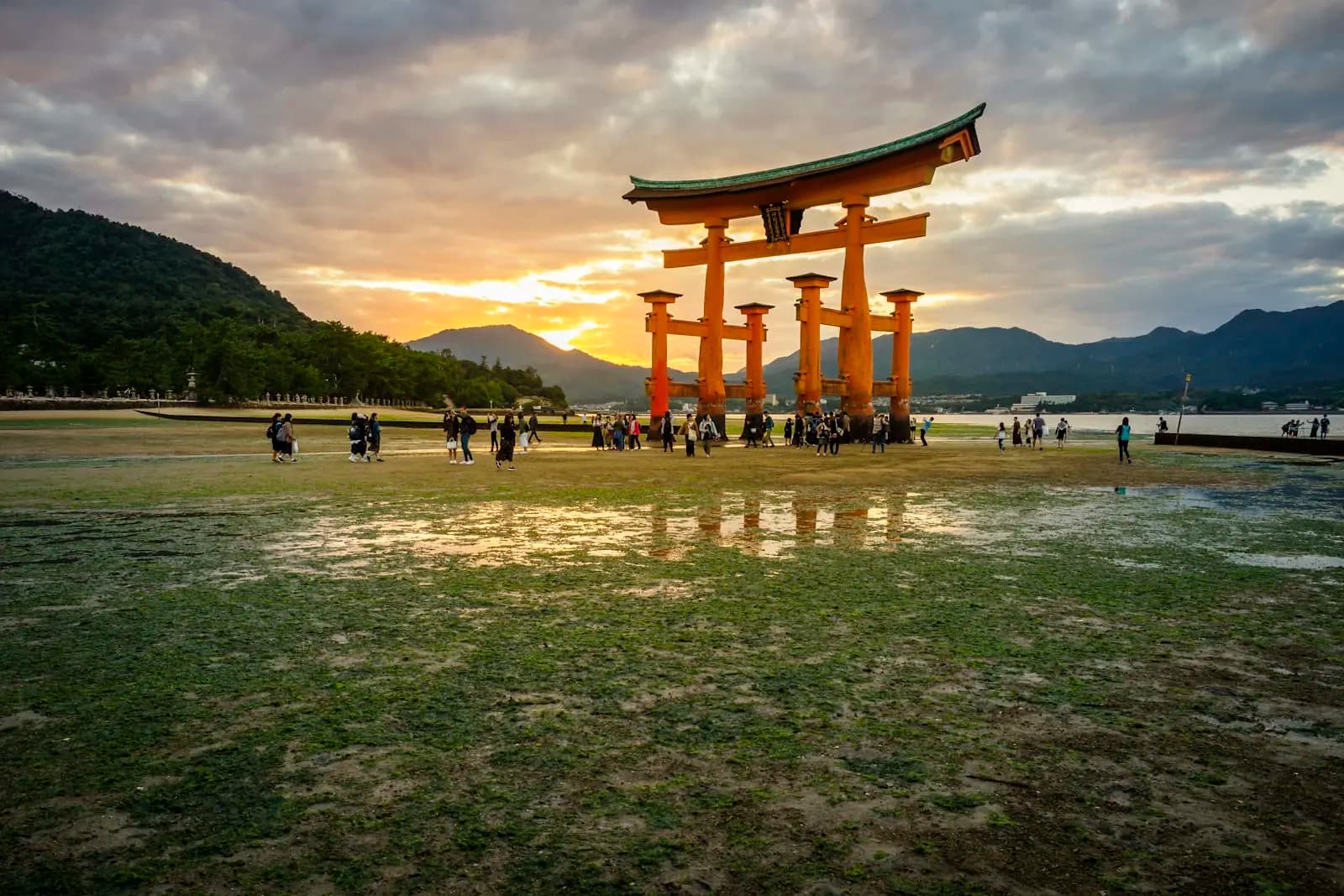 Certificate in Tourism Industry Entry Studies - Certificate at London School of Tourism & International Travel Management
