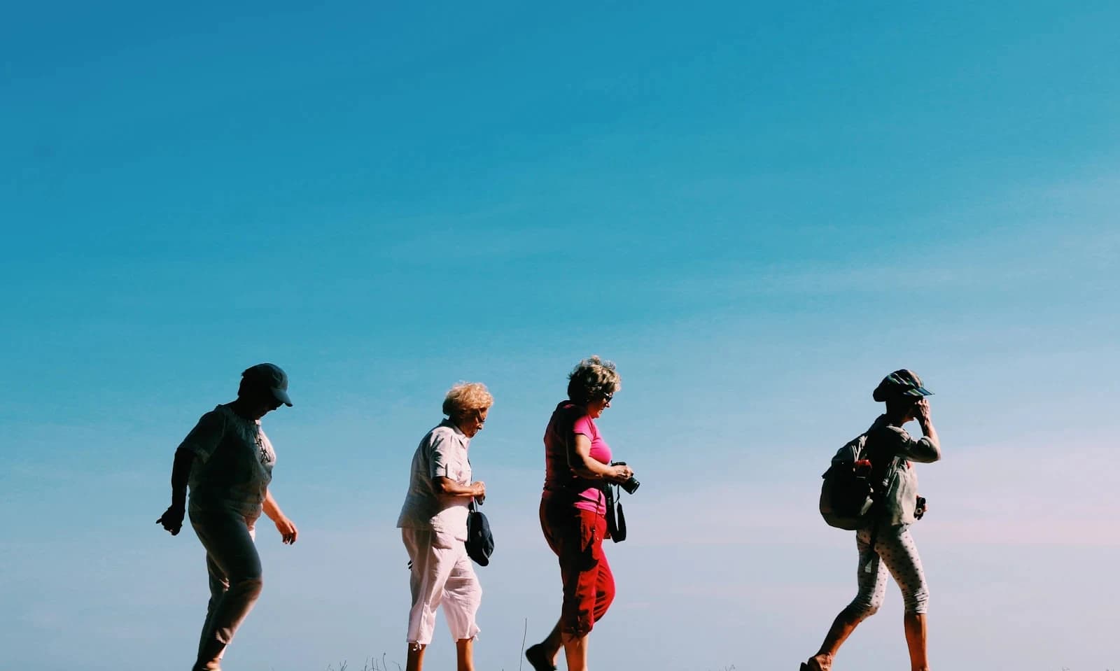 Certificate in Travel Agency Fundamentals - Certificate at London School of Tourism & International Travel Management
