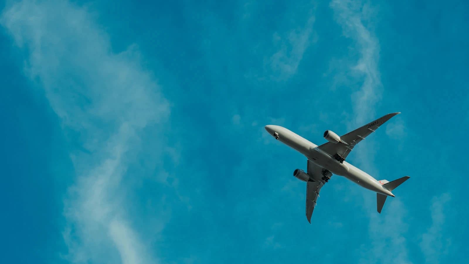 LSAAM graduates in aviation leadership roles