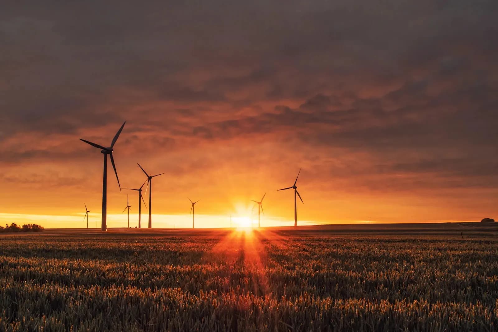 Higher Diploma in Energy Contract Management - UK Higher Diploma at London School of Petroleum and Energy