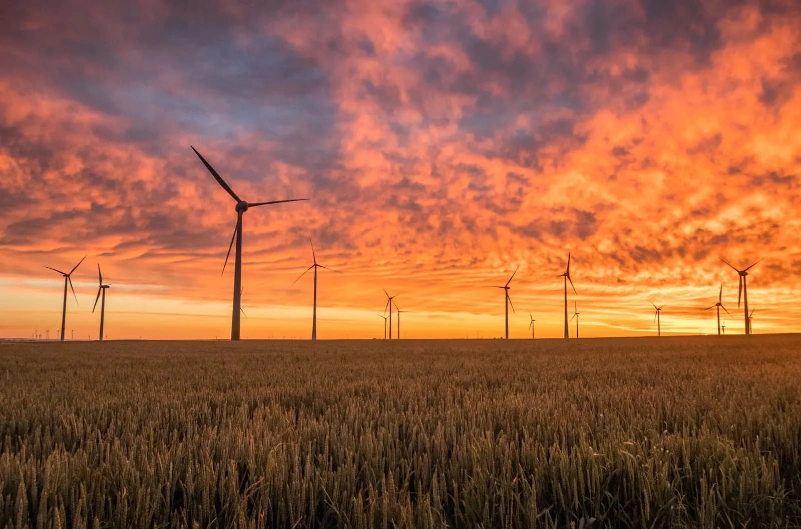 Higher Diploma in Integrated Energy Systems - UK Higher Diploma at London School of Petroleum and Energy